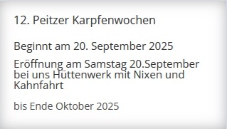 https://www.jazzwerkstatt-peitz.de/